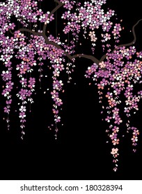nature pattern