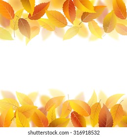 Nature pattern with fallen autumn leaves, vector illustration