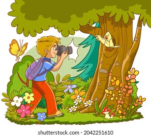 nature photographer curious boy takes bird photo vector illustration