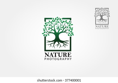 Nature Photography Logo Template. Illustration Tree Clean And Modern Style On White Background.