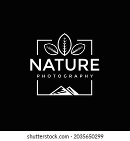 Nature photography studio logo vector image
