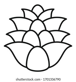 Nature pine cone icon. Outline nature pine cone vector icon for web design isolated on white background