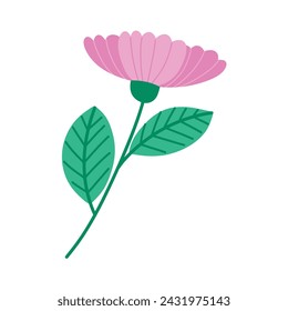 Nature pink flower. botanical element. floral bouquets. Vector flowers. 
