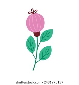 Nature pink flower. botanical element. floral bouquets. Vector flowers. 