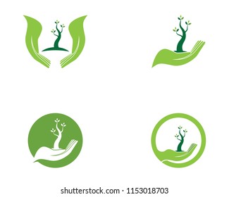 Nature plant care logo vector illustration