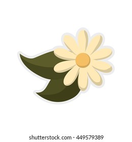 Nature and plant concept represented by flower icon. Isolated and flat illustration 