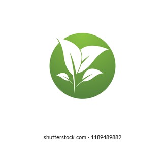 Nature plant icon logo vector