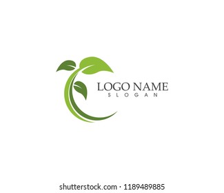 Nature plant icon logo vector