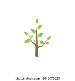 Nature plant icon vector illustration