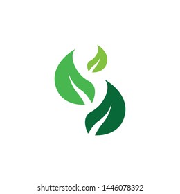 Nature plant icon vector illustration