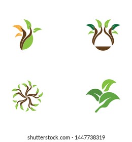 Nature plant icon vector illustration