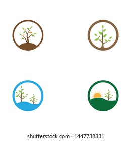 Nature plant icon vector illustration
