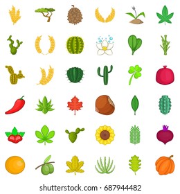 Nature plant icons set. Cartoon style of 36 nature plant vector icons for web isolated on white background