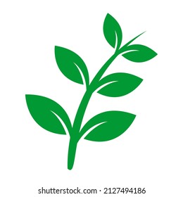 Nature plant illustration vector design