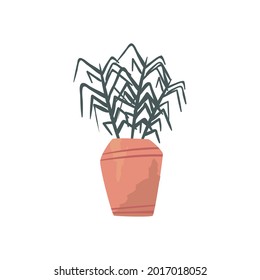 Nature plant inside pot on white background
