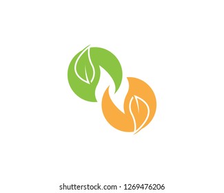 Nature plant leaf icon vector illustration