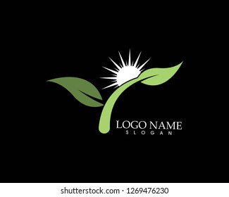 Nature plant leaf icon vector illustration