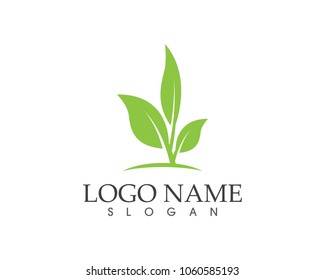 Nature plant logo design concept