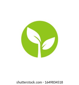 Nature plant logo design illustration. Plant, design.