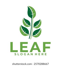 Nature Plant logo design. leaf logo vector illustration design