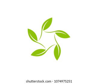 Nature plant logo design template