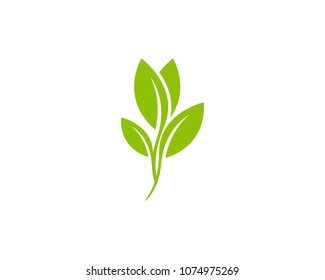 Nature Plant Logo Design Template Stock Vector (Royalty Free) 1074975263