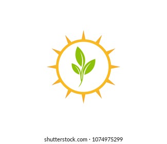 Nature plant logo design template
