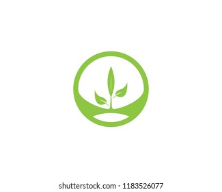 Nature plant logo design vector template