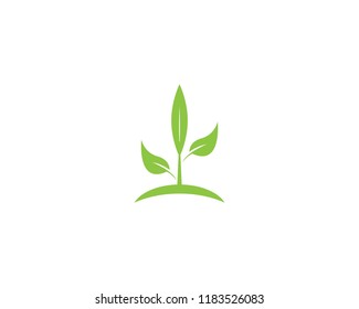 Nature plant logo design vector template