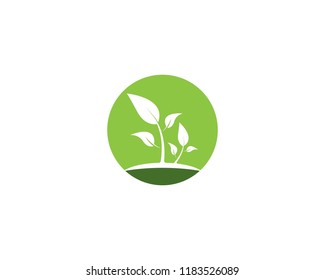 Nature plant logo design vector template