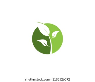 Nature plant logo design vector template