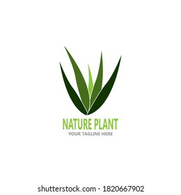 Nature plant organic icon and symbol vector illustration