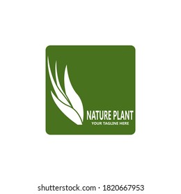 Nature plant organic icon and symbol vector illustration