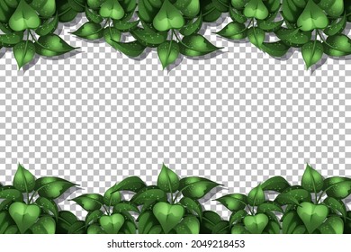 Nature plants frame transparent background illustration