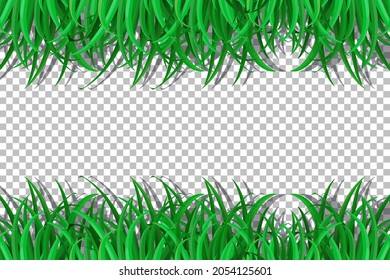 Nature plants frame transparent background illustration