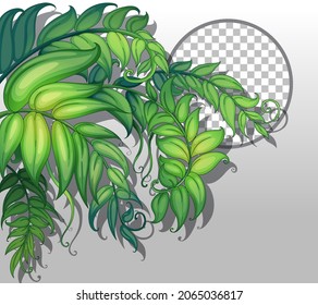 Naturpflanzen bilden einen Rahmen für transparente Hintergrundgrafik