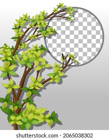Plantas naturales encuadrando una ilustración de fondo transparente