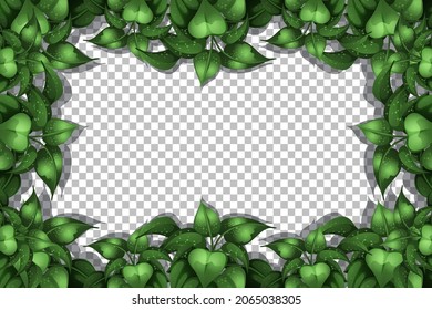 Nature plants frame transparent background illustration