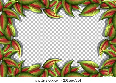 Nature plants frame transparent background illustration
