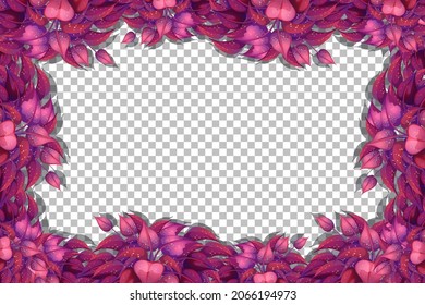 Nature plants frame transparent background illustration
