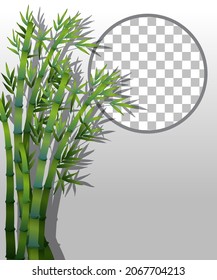 Plantas naturales encuadrando una ilustración de fondo transparente