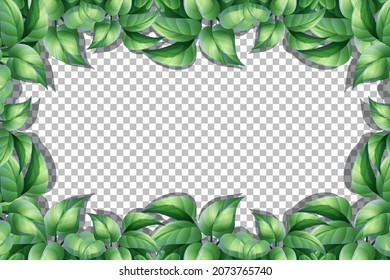 Nature plants frame transparent background illustration
