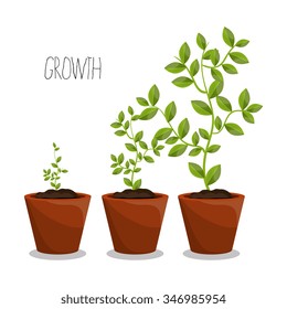 Nature plants growth graphic design, vector illustration eps10