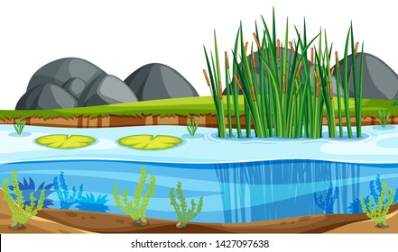 A nature pond landscape illustration