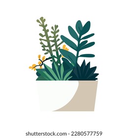 nature potted plant illustration over white