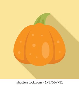 Nature pumpkin icon. Flat illustration of nature pumpkin vector icon for web design