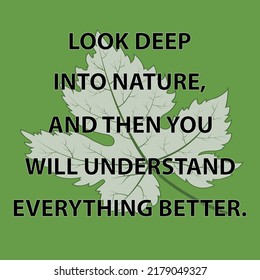 Nature quote.look deep into nature,and then you will understand everything better.Vector illustration.