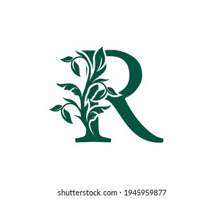 Nature R Letter Floral logo. Vintage classic ornate letter vector.