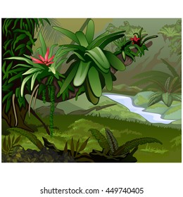 Nature of the rainforest. Vector illustration.