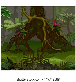 Nature of the rainforest. Vector illustration.